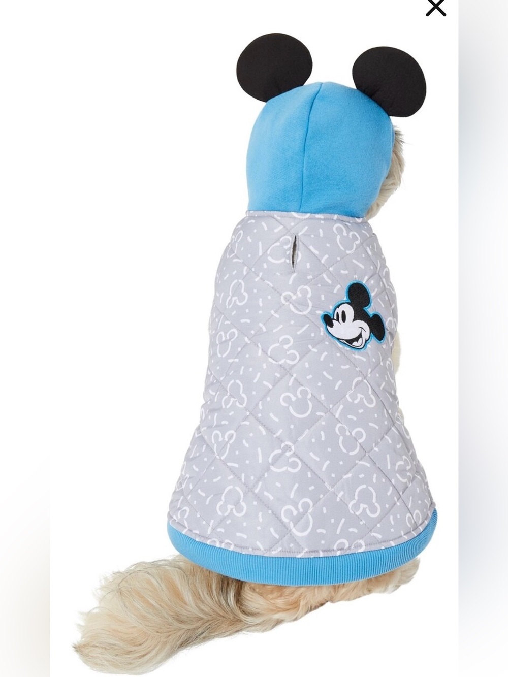 Disney Mickey Mouse puffer